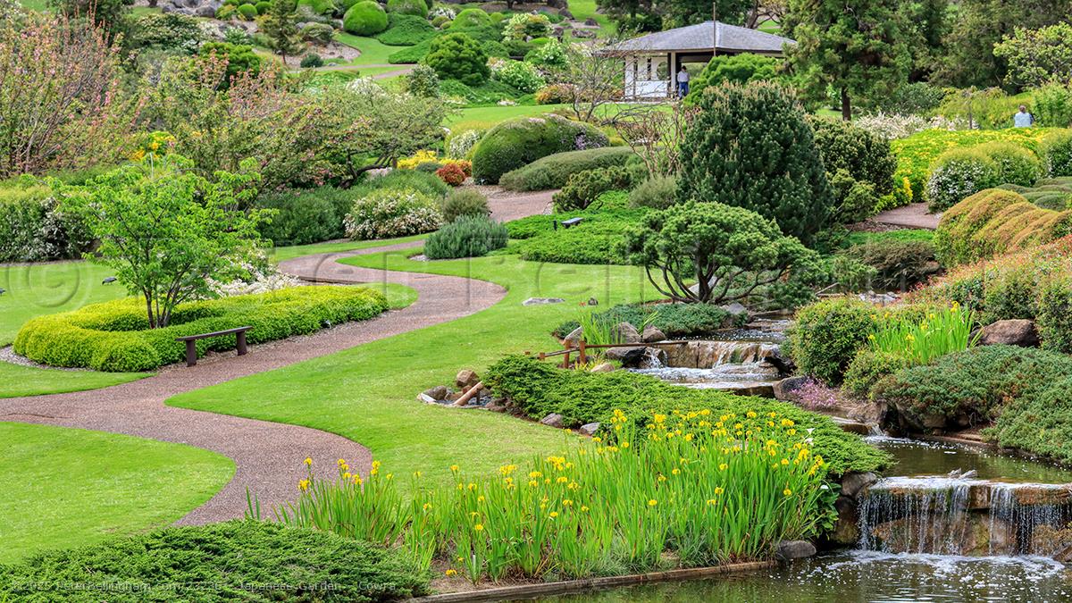 Peter Bellingham Photography Japanese Garden - Cowra